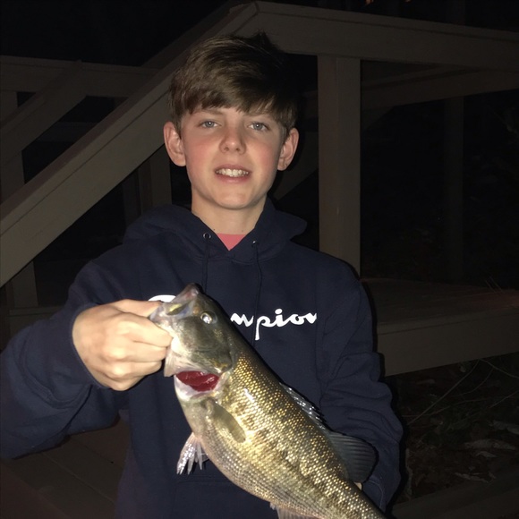 Meet your Posher, Blake - Picture 1 of 1